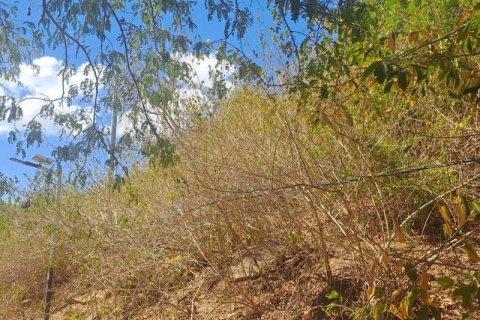 54.39m2 Land in Indonesia No. 9113 7