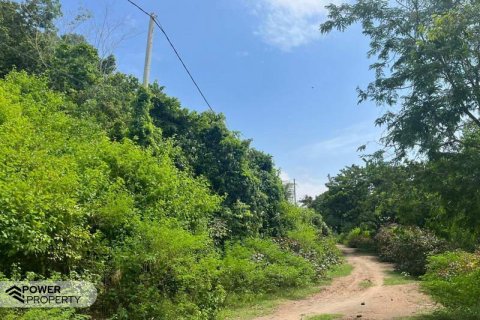 54.39m2 Land in Indonesia No. 9113 24