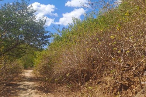 54.39m2 Land in Indonesia No. 9113 6