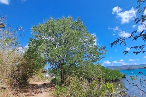 54.39m2 Land in Indonesia No. 9113 18
