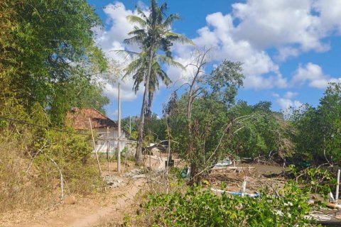 54.39m2 Land in Indonesia No. 9113 15