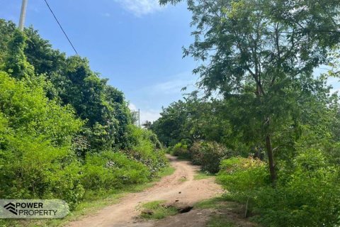 54.39m2 Land in Indonesia No. 9113 2