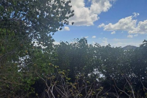 54.39m2 Land in Indonesia No. 9113 8