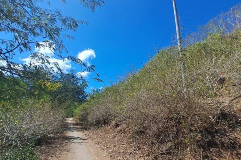 54.39m2 Land in Indonesia No. 9113 17