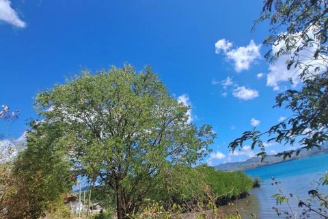 54.39m2 Land in Indonesia No. 9113 19
