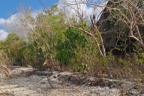 5800m2 Land in Indonesia No. 9115 3