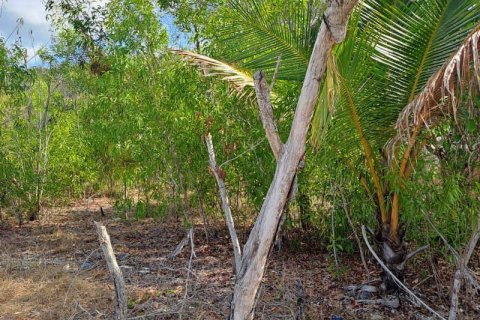 5800m2 Land in Indonesia No. 9115 10