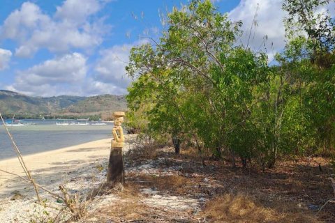 5800m2 Land in Indonesia No. 9115 2