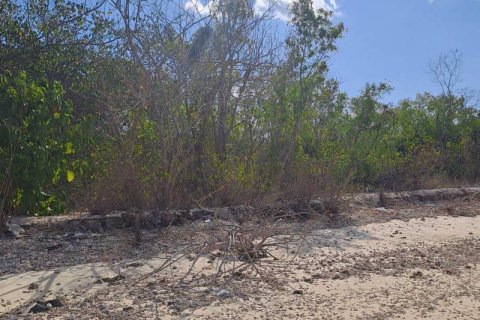 5800m2 Land in Indonesia No. 9115 9