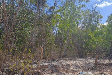5800m2 Land in Indonesia No. 9115 5