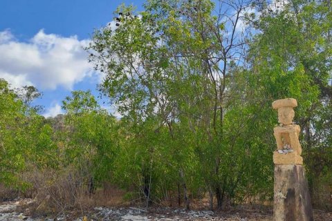 5800m2 Land in Indonesia No. 9115 11