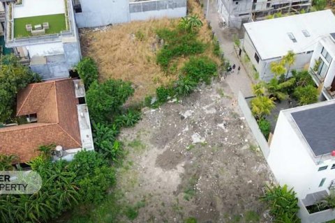 2000m2 Land in Canggu, Badung, Indonesia No. 9112 4