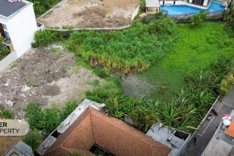 2000m2 Land in Canggu, Badung, Indonesia No. 9112 2