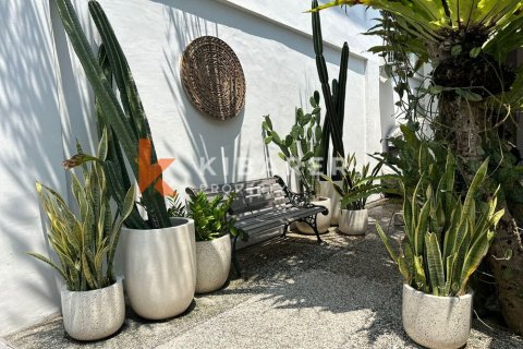 2 bedrooms Villa in Kerobokan, Badung, Indonesia No. 12341 5