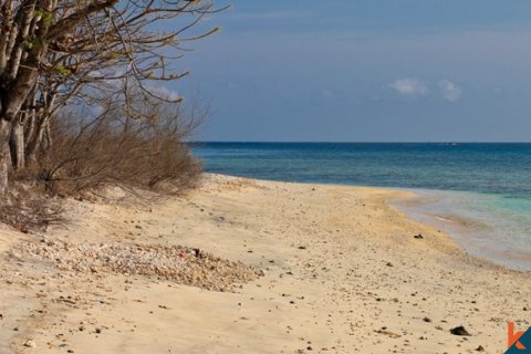 Land in Central Lombok, Indonesia No. 11543 4