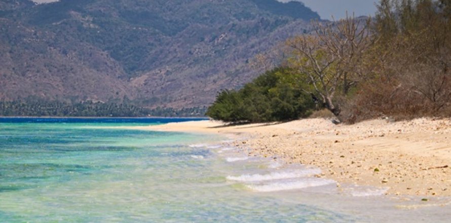 Land in Central Lombok, Indonesia No. 11543