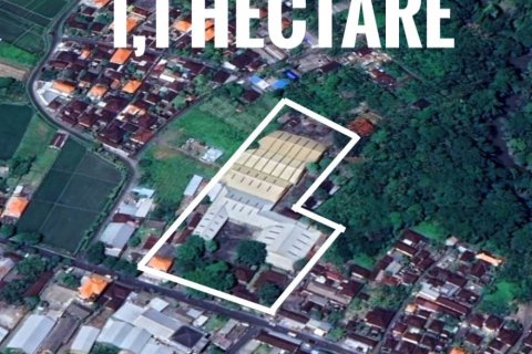 5000m2 Land in Mengwi, Badung, Indonesia No. 11542