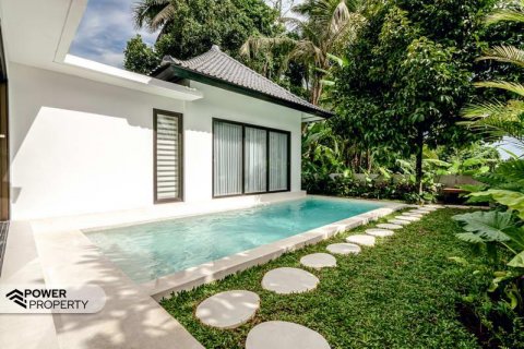 2 bedrooms Villa in Ubud, Gianyar, Indonesia No. 8657 22
