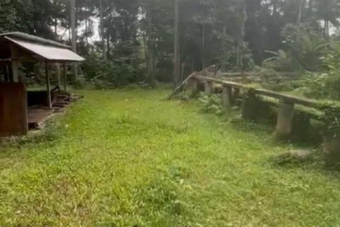 1230m2 Land in Ubud, Gianyar, Indonesia No. 13348