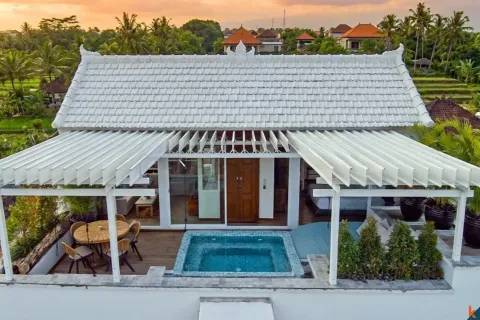 1 bedroom Villa in Seminyak, Badung, Indonesia No. 10463 5