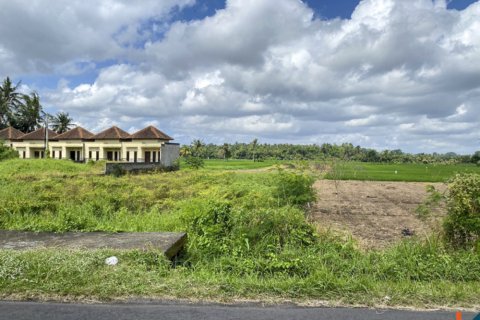Land in Tabanan, Indonesia No. 11608 2