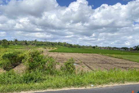 Land in Tabanan, Indonesia No. 11608 3