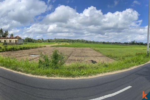 Land in Tabanan, Indonesia No. 11608 4