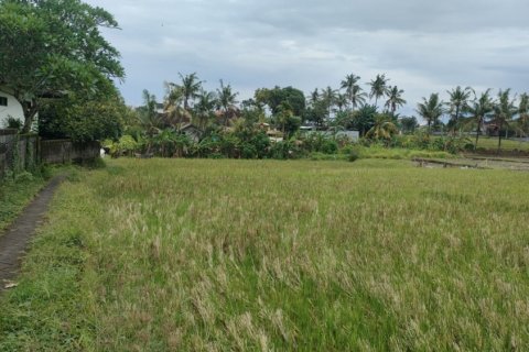 Land in Tumbak Bayuh, Mengwi, Badung, Indonesia No. 11609 5