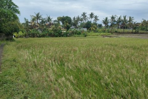 Land in Tumbak Bayuh, Mengwi, Badung, Indonesia No. 11609 7