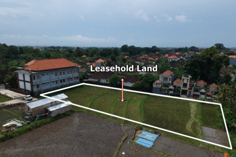 Land in Tumbak Bayuh, Mengwi, Badung, Indonesia No. 11609 2
