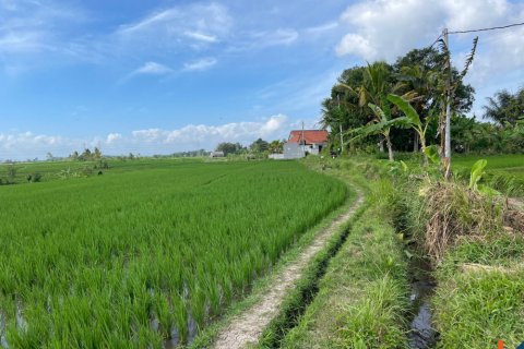 Land in Tabanan, Indonesia No. 11517 3
