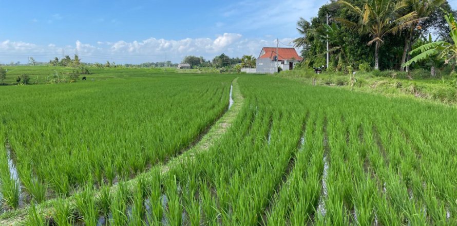 Land in Tabanan, Indonesia No. 11517
