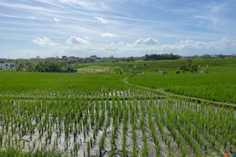 Land in Tabanan, Indonesia No. 11517 5