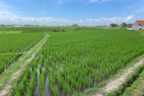 Land in Tabanan, Indonesia No. 11517 2