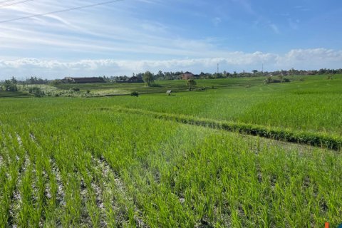 Land in Tabanan, Indonesia No. 11515
