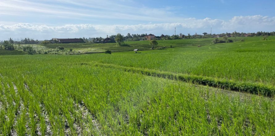 Land in Tabanan, Indonesia No. 11515