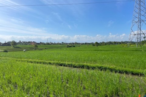 Land in Tabanan, Indonesia No. 11515 3