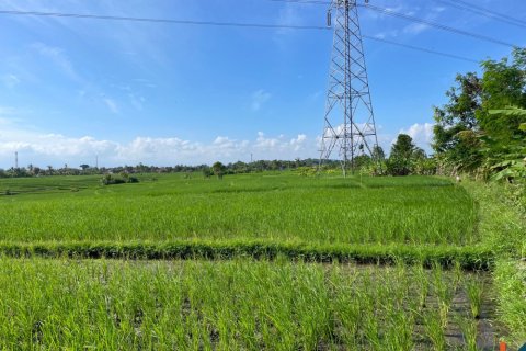 Land in Tabanan, Indonesia No. 11515 2