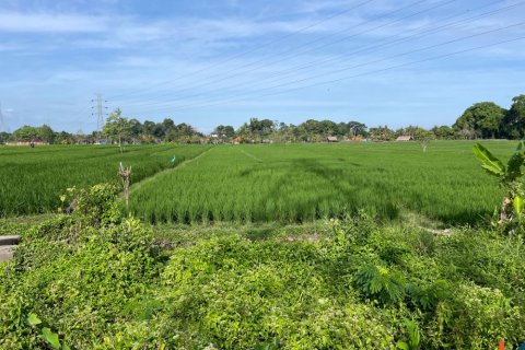 Land in Tabanan, Indonesia No. 11515 5
