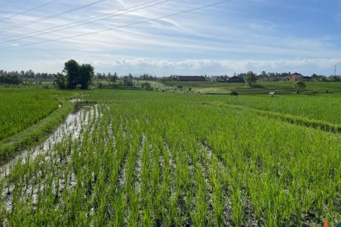 Land in Tabanan, Indonesia No. 11515 4