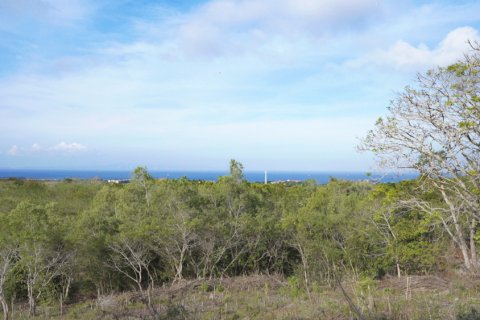 Land in Nusa Dua, Badung, Indonesia No. 11520 2