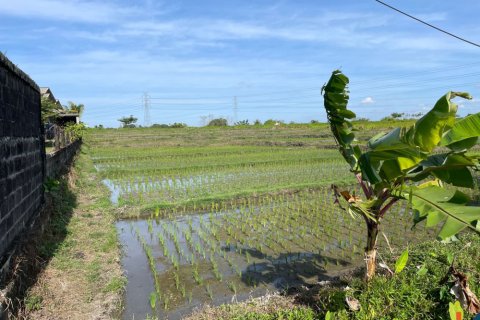 Land in Tabanan, Indonesia No. 11516 4