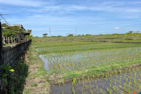 Land in Tabanan, Indonesia No. 11516