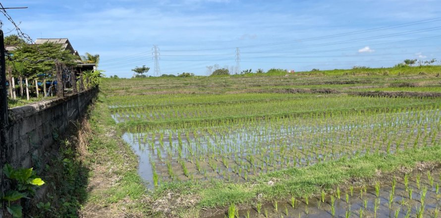 Land in Tabanan, Indonesia No. 11516