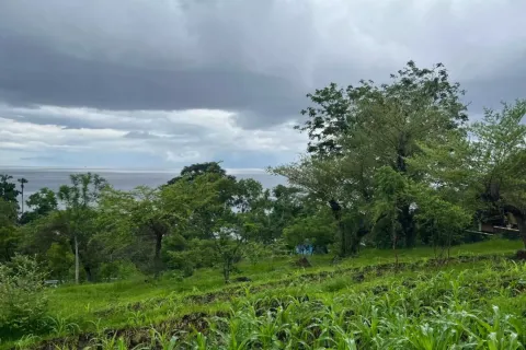 Land in Karangasem, Karang Asem, Indonesia No. 10989 3