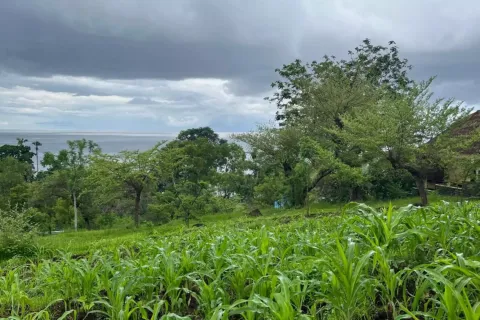 Land in Karangasem, Karang Asem, Indonesia No. 10989