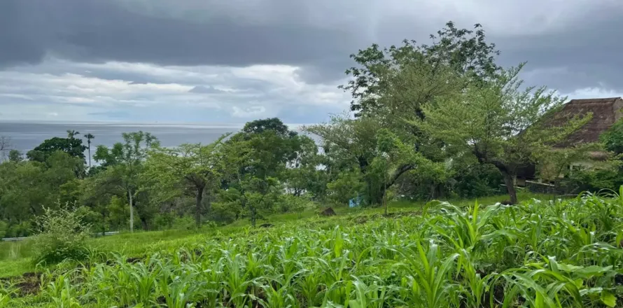 Land in Karangasem, Karang Asem, Indonesia No. 10989