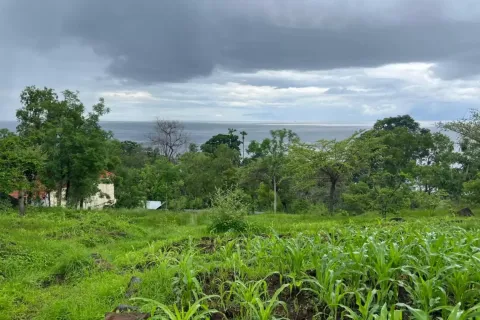 Land in Karangasem, Karang Asem, Indonesia No. 10989 5