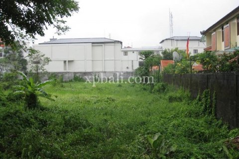 4700m2 Land in Kuta, Badung, Indonesia No. 540