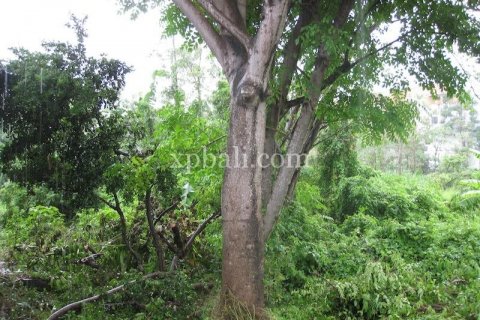 4700m2 Land in Kuta, Badung, Indonesia No. 540 2